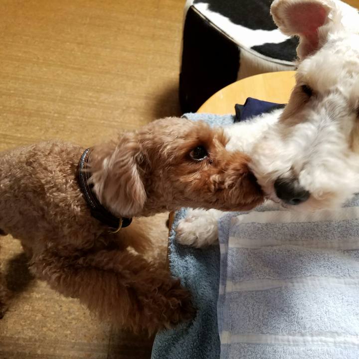 Bbbe72b5 ee45 4124 a295 55aa3dfab951