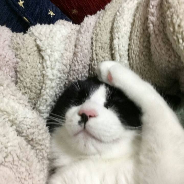 Bbc00174 a378 4ecf bb00 ae3733407f25