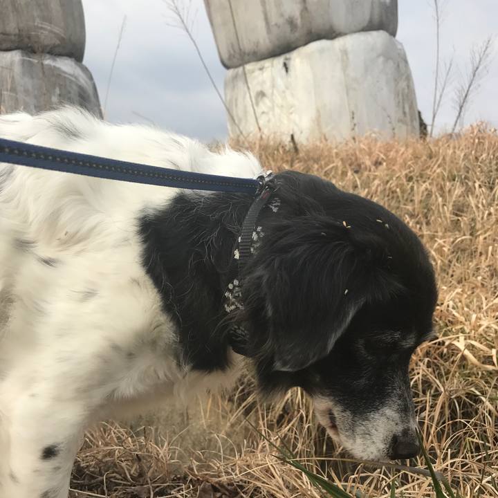 Bbc008e2 4489 45b2 8e24 f5bc57e05f0f