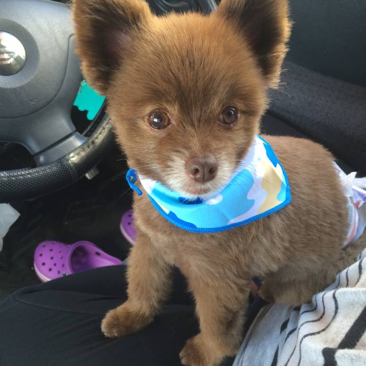 Bbc165ba 6fd7 415d 9b8a de00234d929b