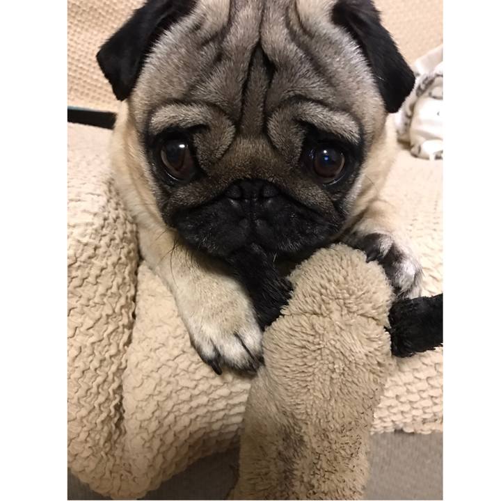 Bbc1af62 d0e1 4206 8f2b 814be65b8a3e