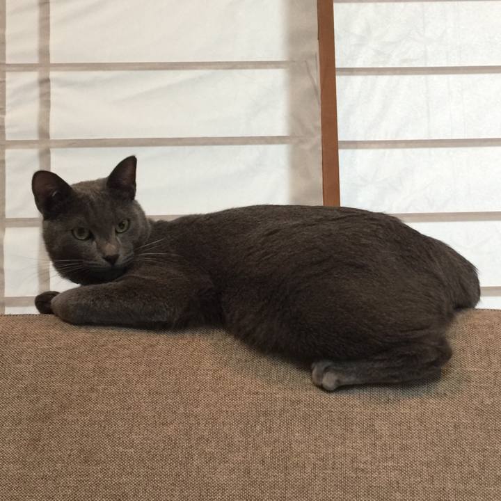 Bbc1db91 c683 428e 9a97 1aed4ddb1a0c