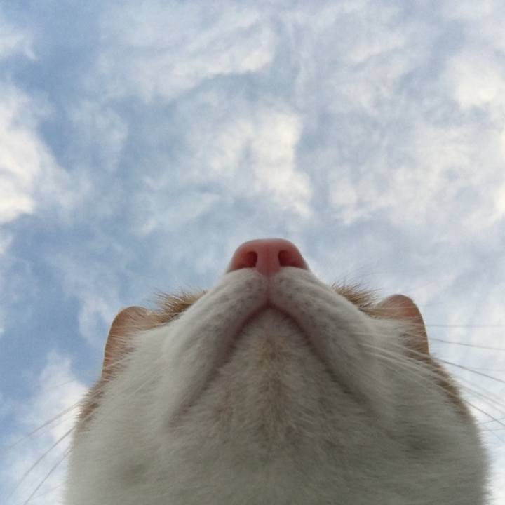 Bbc20089 cfcf 49ff aa1f c0738f08611b