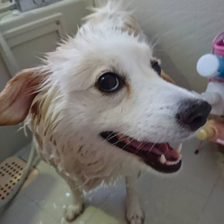 Bbc2bdc8 2583 4f4a ba4a 81f2e3876278