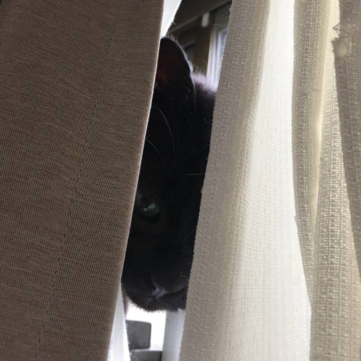 Bbc2e066 6673 40f7 9626 70b2824166b1