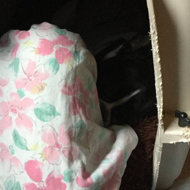 Bbc2e731 ad6b 4450 abc2 ab375a3e1cb5