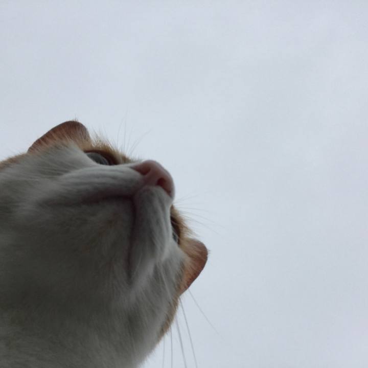 Bbc3bba3 aab1 469f a43c 5722008361b2