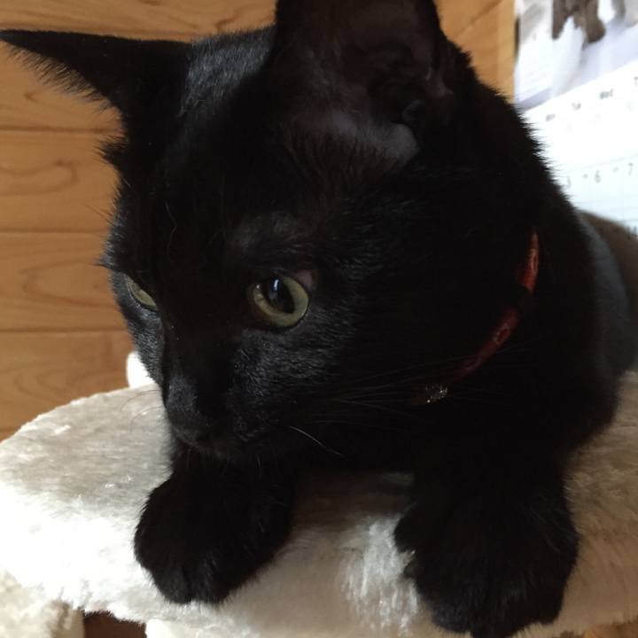 Bbc3c507 1e81 4297 82fe c8d5f153aeba