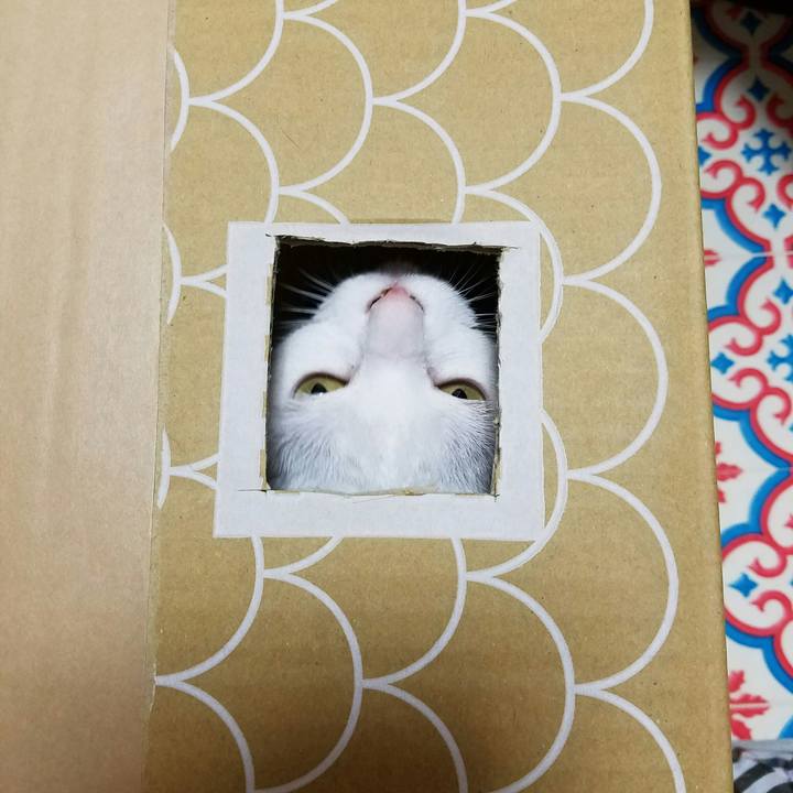 Bbc6131f aac5 40d6 b43c 646ccc179c0e