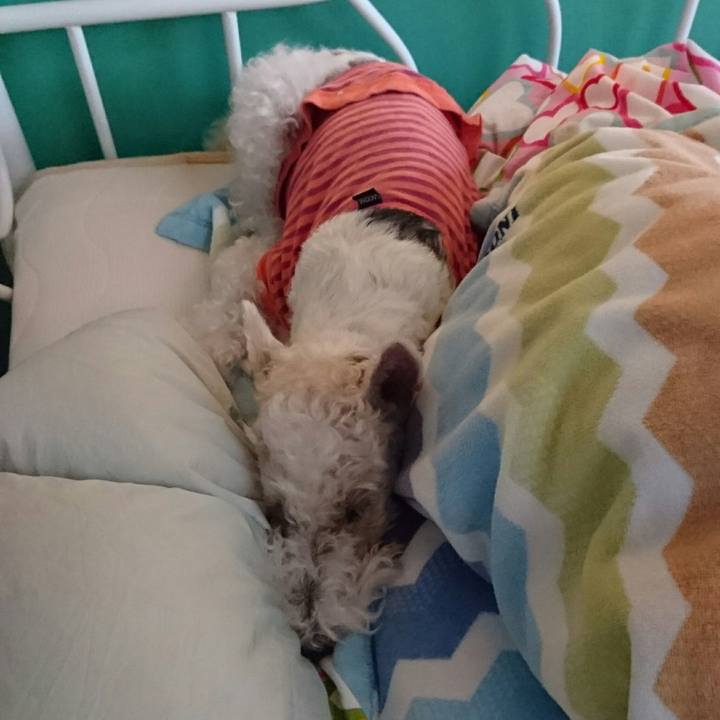 Bbc6691e 0135 4018 b344 f1f4a6b9b6bc