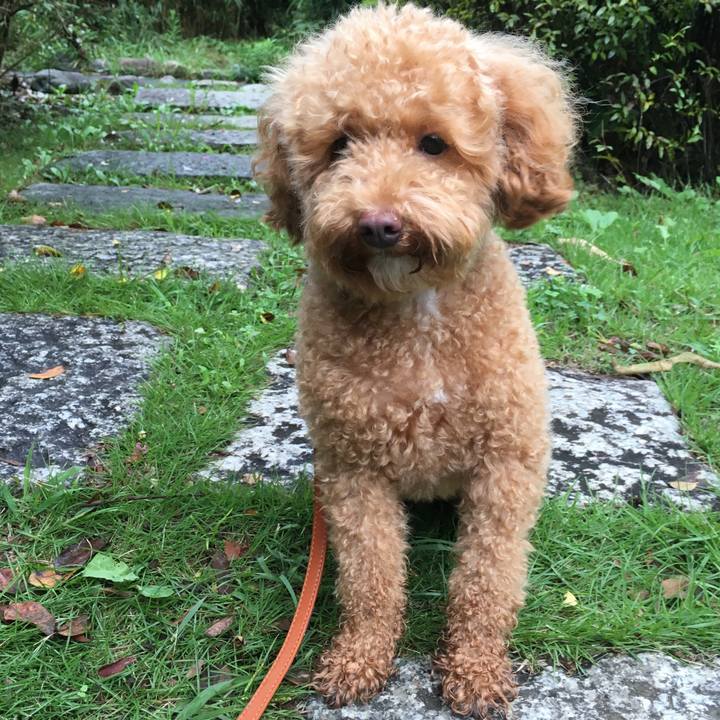 Bbc70ddb 50e9 439d a70e 526e49be0647