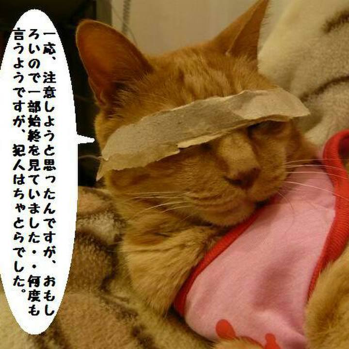 Bbc72918 07d8 4883 bc98 aede6f872aad