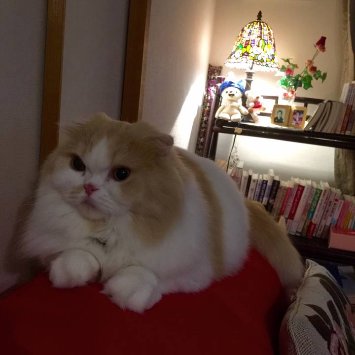 Bbc773f5 06f0 4f1c be95 23b378961eff