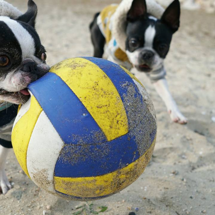 Bbc815b2 0f3c 4337 9e34 107f1c9b8823