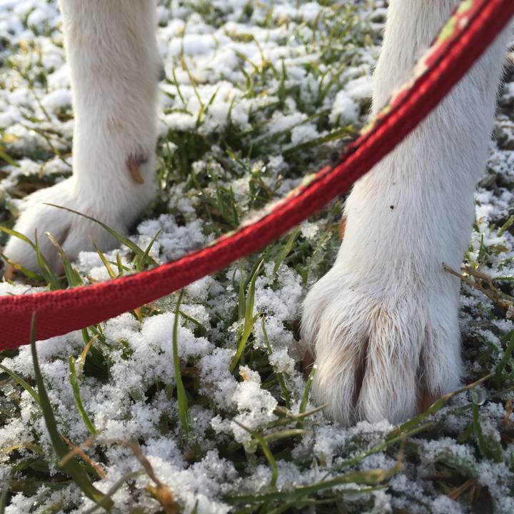 Bbc844bf 1267 4595 a269 d27643857af0