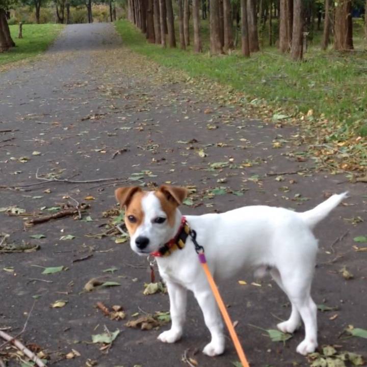 Bbc8e8e5 2a96 472c 810a fe97c9ab46ba