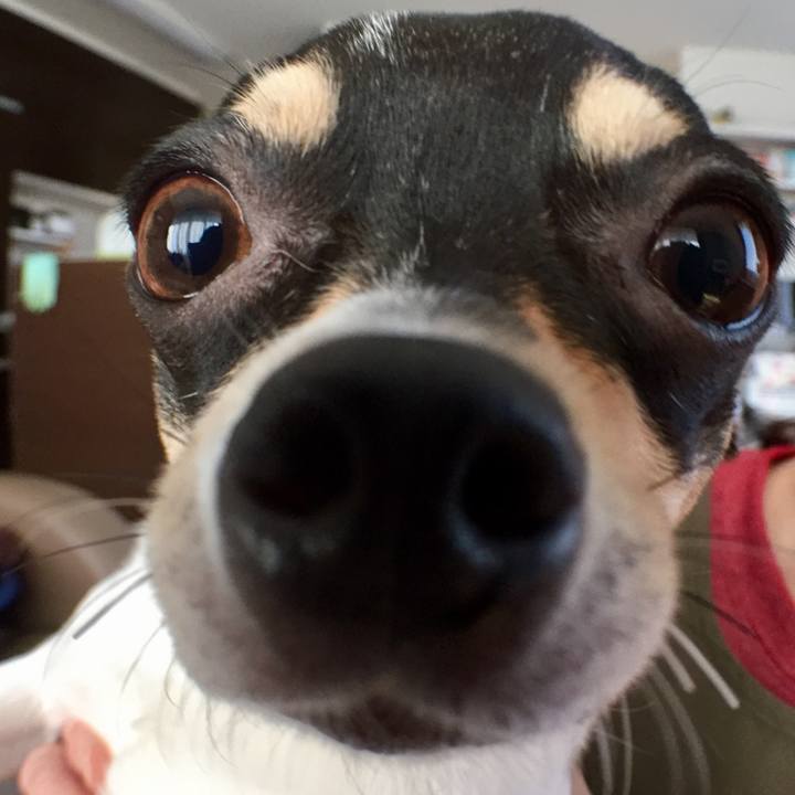 Bbca5a77 0fa2 4355 a588 c06b92c549cc