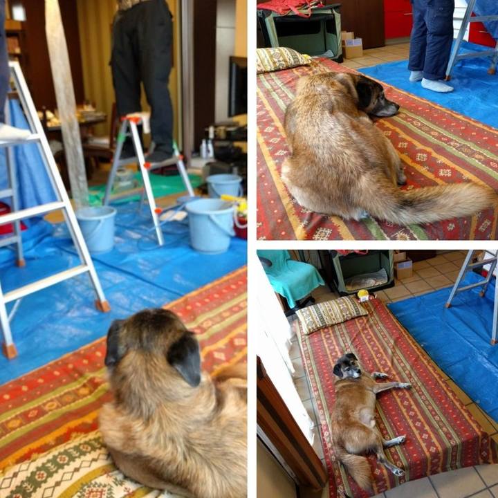 Bbca75b5 d94f 4b42 9cf3 f4c9810195c9