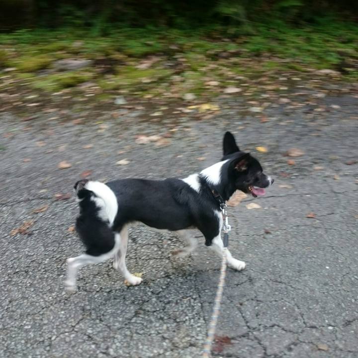 Bbca8390 8565 4a72 8f0f a777a28e5742