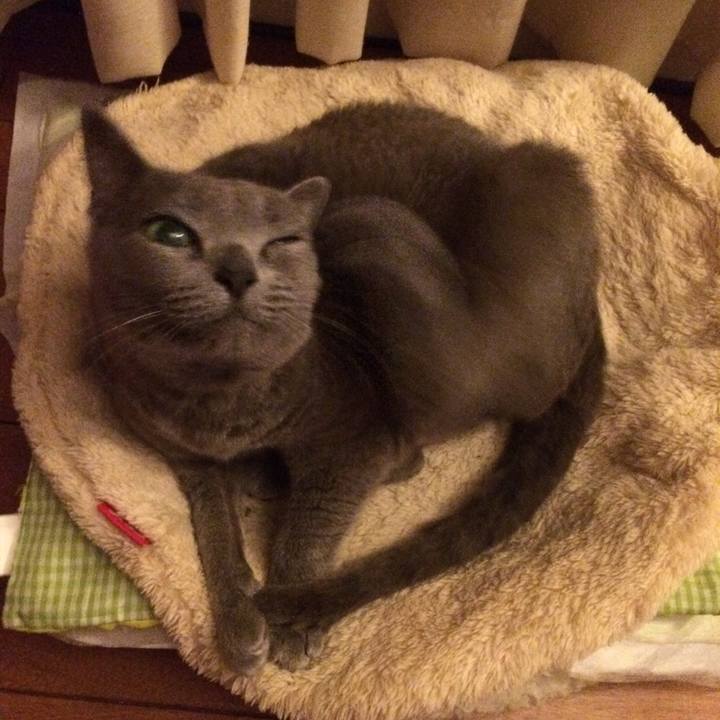 Bbcadb12 4ba6 438e 8d53 f25c87ec0239