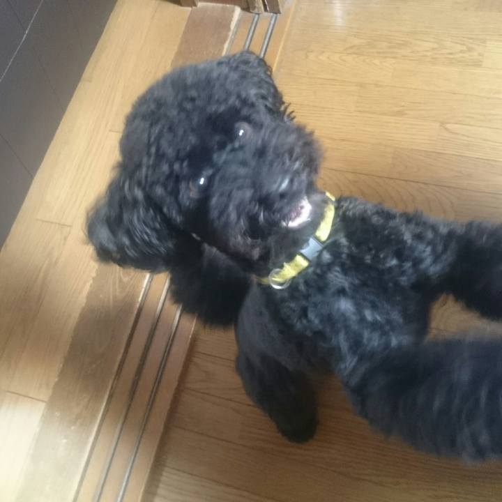 Bbcb0d69 1f5e 4c4a 8d27 0ec482eae654