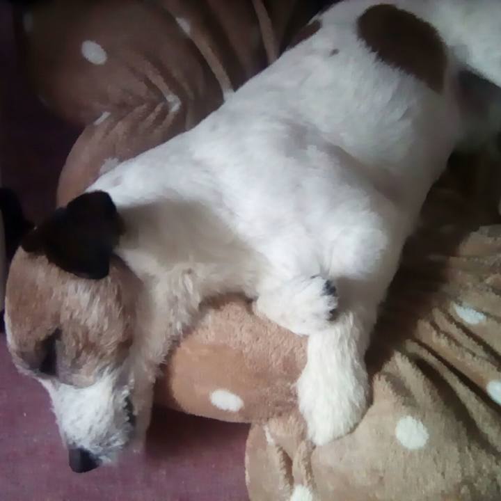 Bbcbc2aa 0f80 4255 89f6 6b5361c52e7c