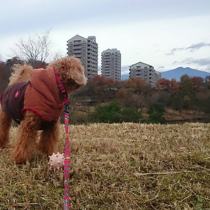 Bbcbdbee 185e 43ed b161 9b6038c1c526