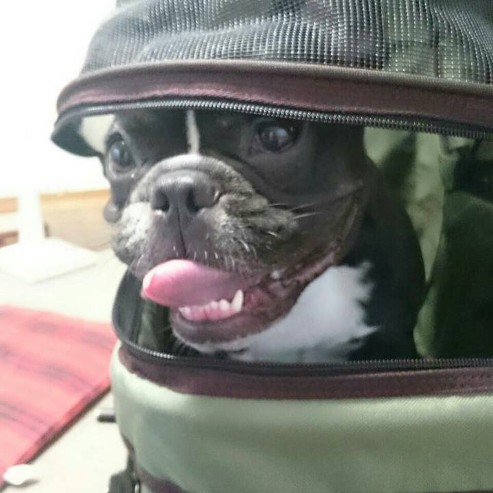 Bbcc6965 9691 432a bc7a 209d40b95ded