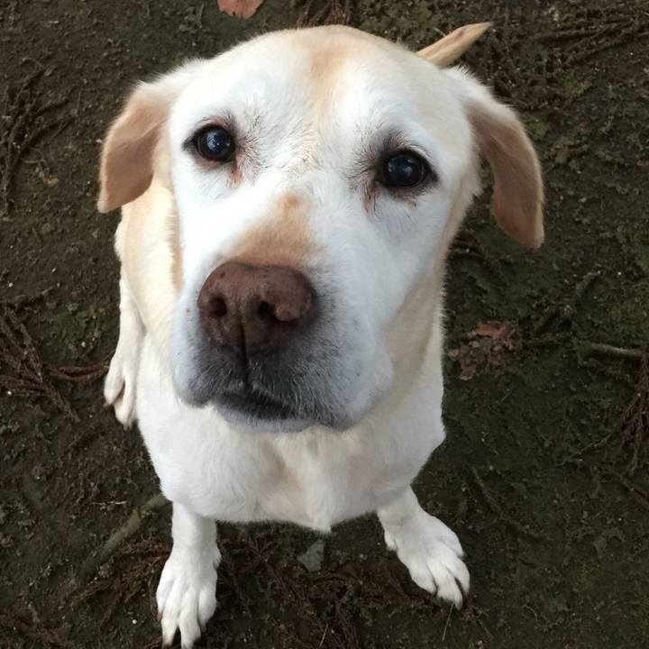 Bbccdd8e ff77 43d8 b17b 7ee29582c4a5