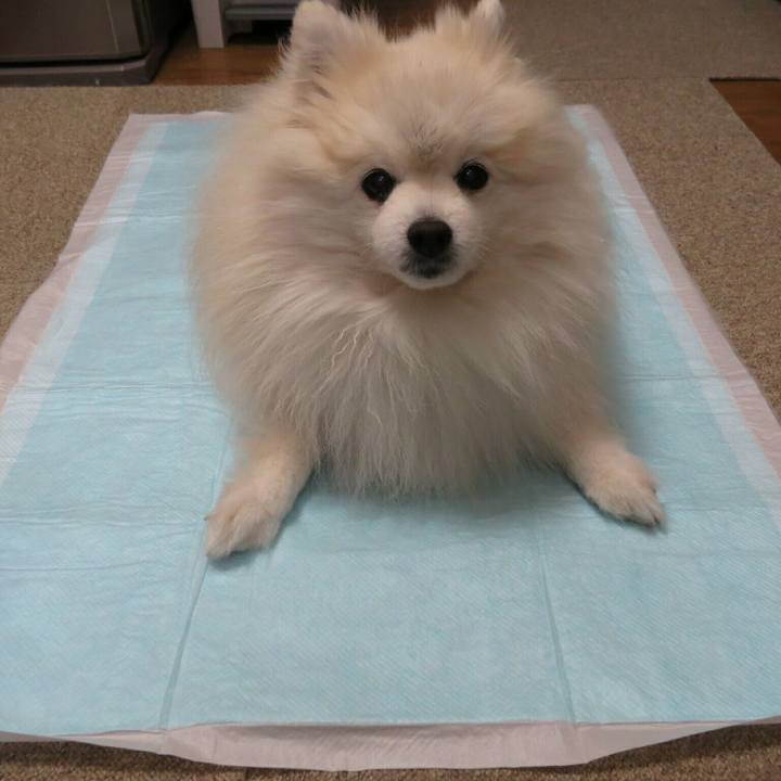 Bbcd1dd9 2c30 43de 8424 54ef5c69694f