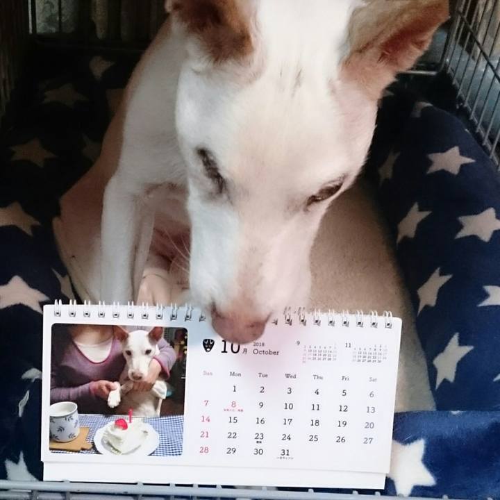 Bbce4a21 becf 4f17 8de7 0cb32796cdb9