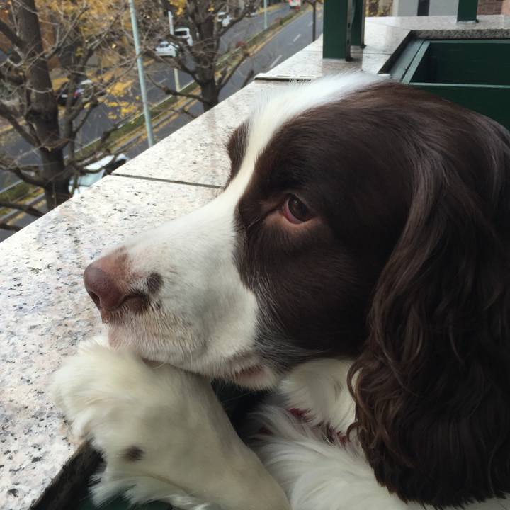 Bbcfe216 9d4d 444f 91e0 e5326f3d4f5c