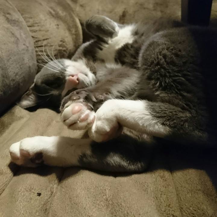 Bbd115a0 745b 4aba ad5f 5fd2e9c6e7a6