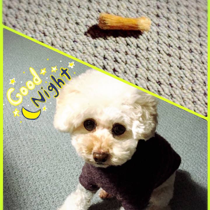 Bbd15a40 6113 4fef 9207 cbaf530f9311