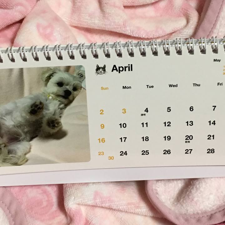 Bbd1a25e d437 4592 8ef6 ffd8d6e9b656