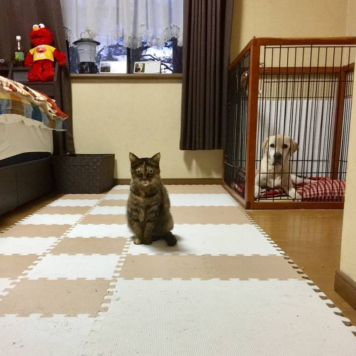 Bbd28b88 8e72 44d4 a709 a33db5d29d96