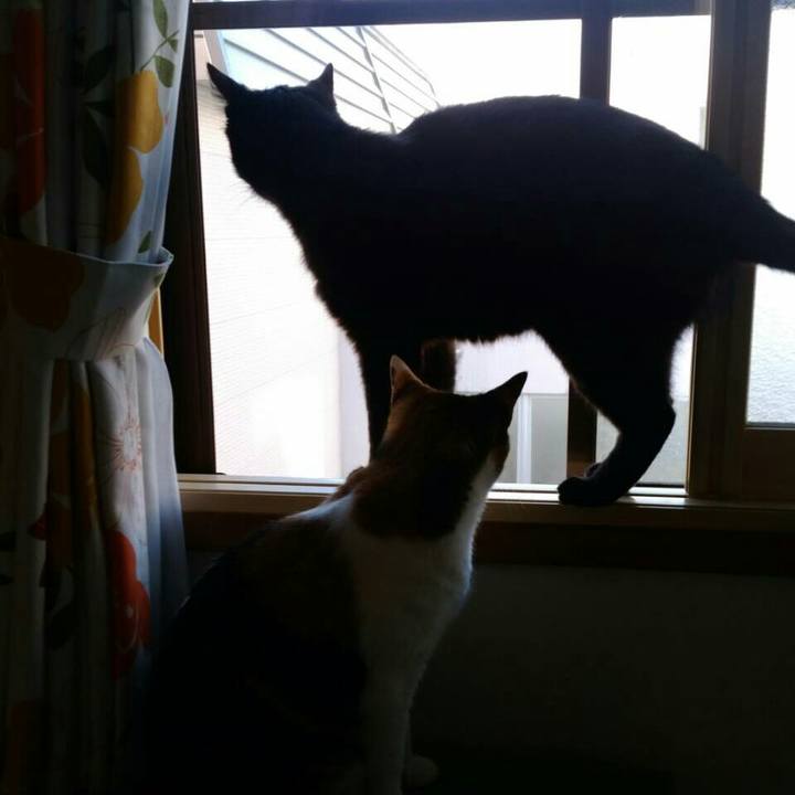 Bbd36aec 4b2e 441e 98b0 138552518cbb