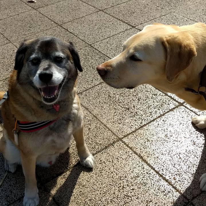 Bbd3b060 5c43 43aa acd3 e56ef72ef12a