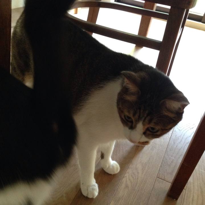 Bbd47954 8b6e 4aa8 9d64 fdb052ac4bf3