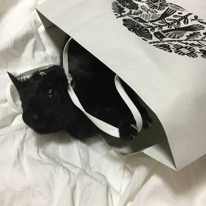 Bbd48da9 70ea 47a9 9800 8008d0a5f29e