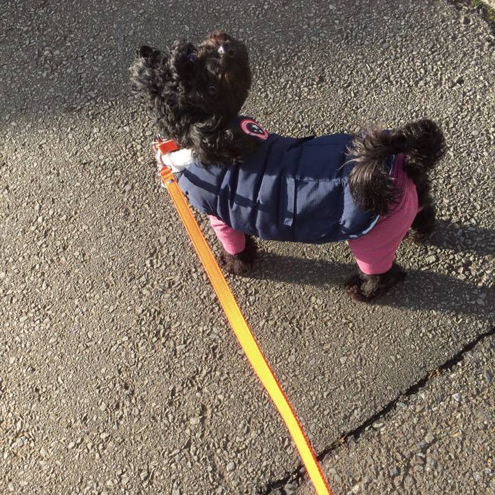 Bbd57afc aaf5 4998 bdff 9a8944136a83