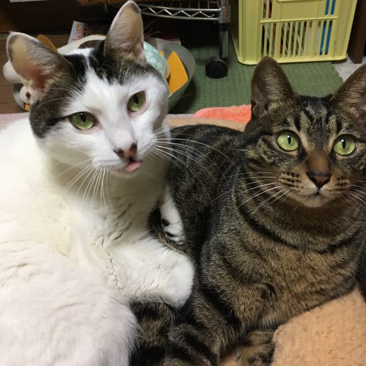 Bbd5d0b4 3827 4690 8c94 5adbb1eb8ee1