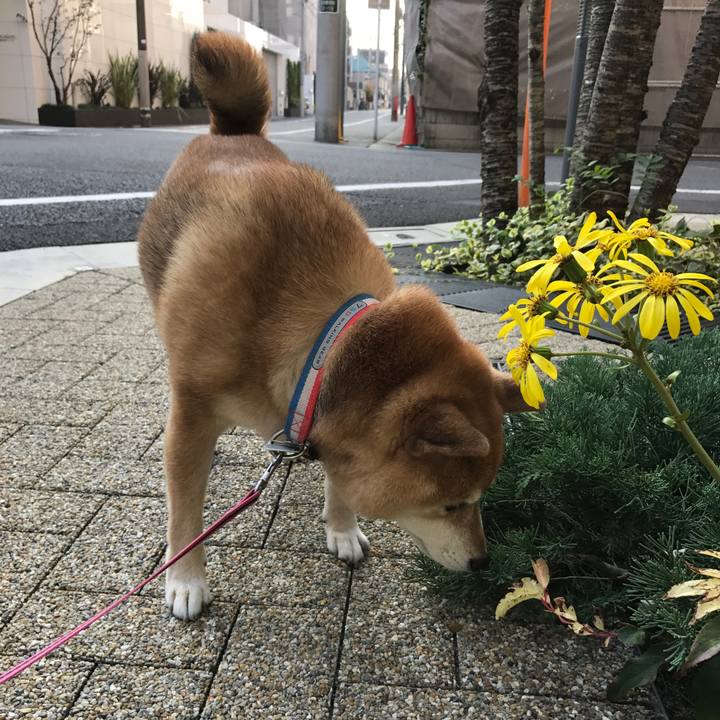 Bbd60485 c47e 4b4f 8b7e 63fcfdba4cfb