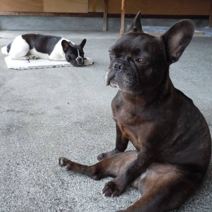 Bbd6305a 587a 4dd6 8f31 3eece4c7c76e