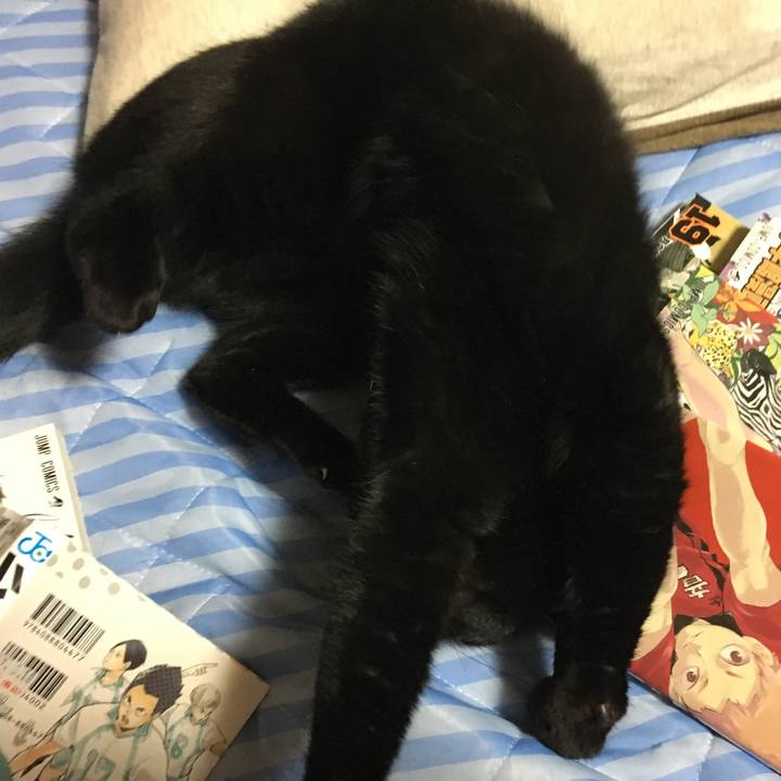 Bbd66a3c a4f4 4250 9862 214d52fdf8d0