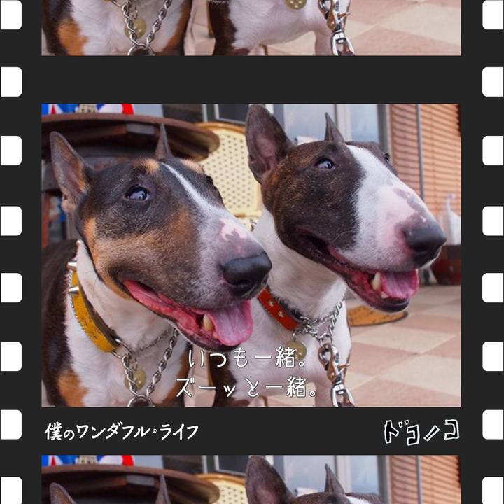 Bbd66c2f 05bd 4df0 b52c 8b845ffbc37c