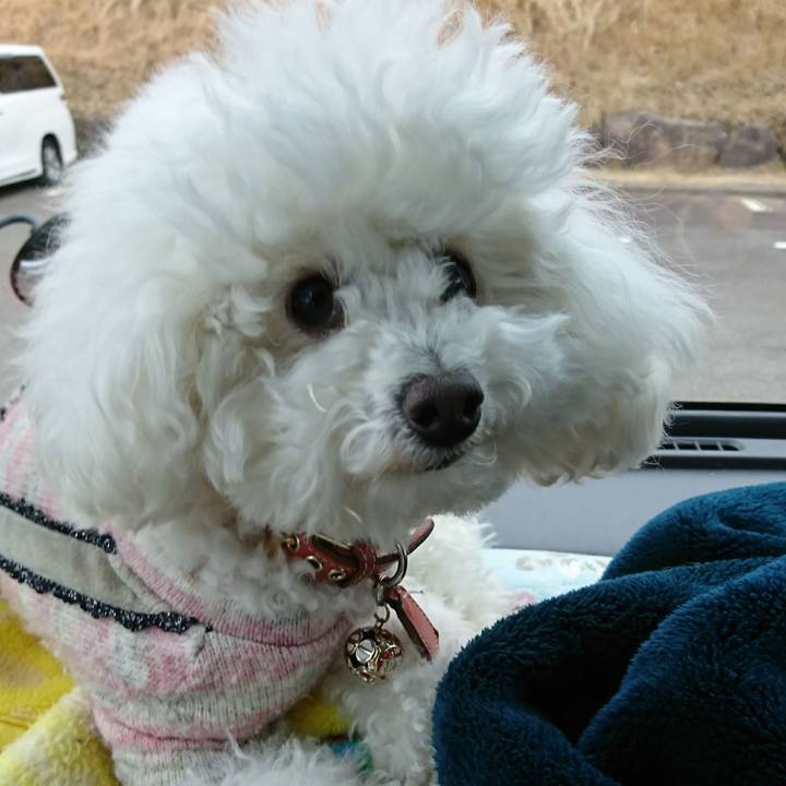 Bbd6f3e2 27f6 42e8 9eab 5656c16151a8