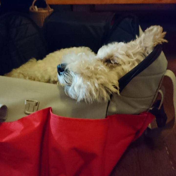 Bbd70c36 ec65 4437 8790 1119564263e2