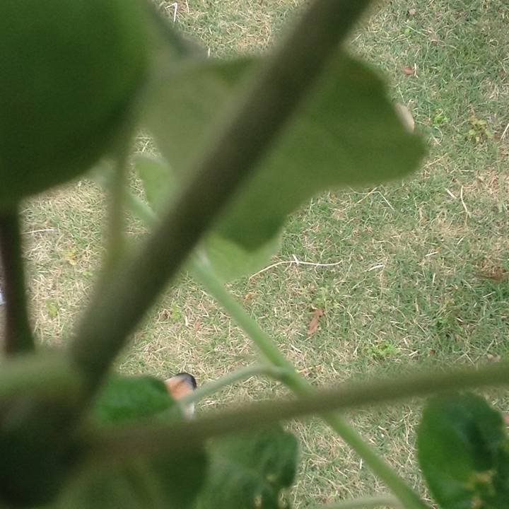 Bbd715e3 3d27 44ab 984d f59d02221e98