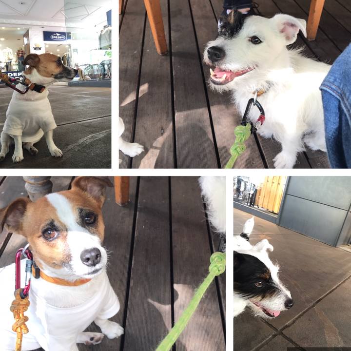 Bbd79bcc 0cf5 4b08 b500 0805a012f662